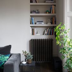 Beige living room with a cast iron radiator on the wall below bookshelves