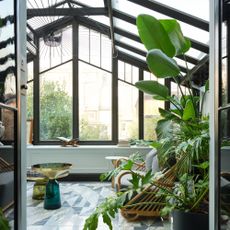 A large conservatory with high ceilings, large houseplants and a rattan-base sofa