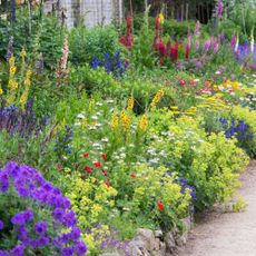 garden flower beds